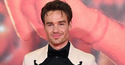 Liam Payne admits he is a secret fan of Harry Styles' ex-girlfriend Taylor Swift