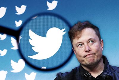 Musk's fake blue checks may be violation