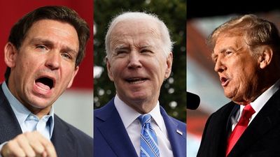 Who's running for US president in 2024? From Joe Biden and Donald Trump to Ron DeSantis and Nikki Haley, here's who's in the mix
