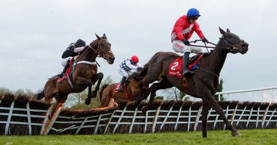 Punchestown: Staggering amount of food and drink to be served at racing festival