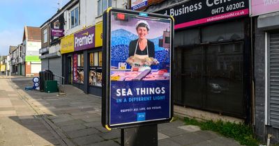 Animal rights group puts up poster outside chippy comparing fish to dead cat