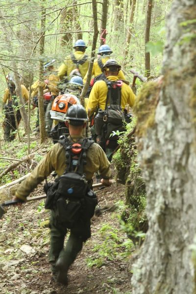 Fire officials say blaze at Natural Bridge State Resort Park now ‘100 percent contained