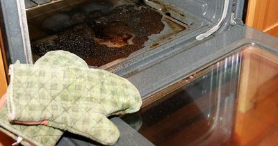 Woman who 'couldn't see' through filthy oven door says 10p item made it look 'as good as new'