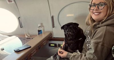 Couple fly their dogs in a private jet because it was cheaper than cargo