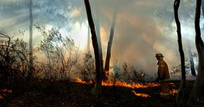 Canberrans asked not to call triple zero over hazard burn smoke