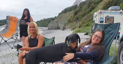 Woman's life saved after her dog found one-in-22 million matching kidney donor on Barry beach