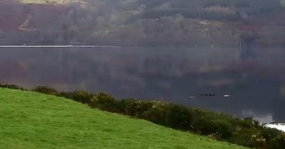 Loch Ness Monster sighting as mysterious black humps break surface of water