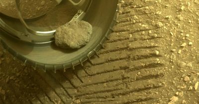 Mars rover looks lonely in new photos after losing its only 'friend' - a pet rock