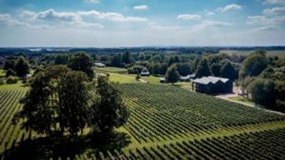 Ashling Park Estate review: a vineyard, lodges and so much more
