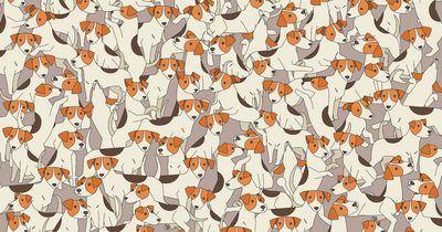 Difficult brainteaser challenges eyes to spot royal objects among Jack Russell dogs