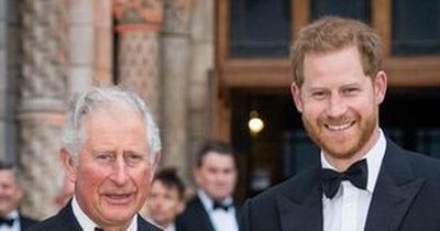 Prince Harry made 'homesick' calls to Charles for 'reassurance' ahead of coronation