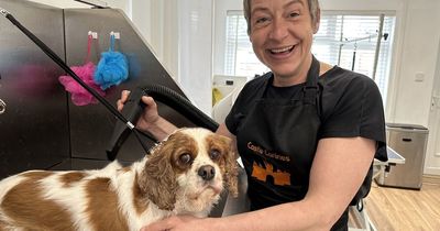 Dog groomer relocates to North East after falling in love with region on first time visit