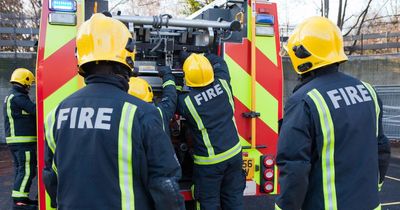 Warning to check your vacuum after dodgy batteries spark 'devastating' house fires