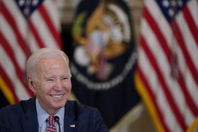 Democrats see Biden as best hope against Republican challengers