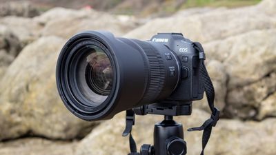 Canon EOS R8 review: full-frame, simplified