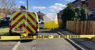 Two women arrested in connection with murder after 'senseless' death of man