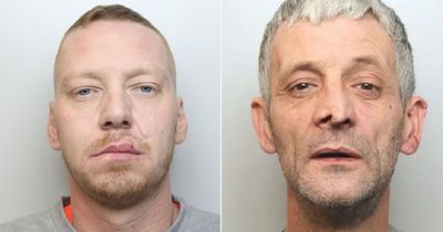 Cracked windscreen brings down drug ring as police catch men with over £100k of cannabis