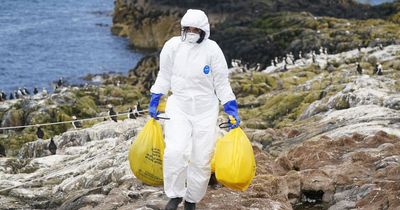 Farne Islands closed until end of August after bird flu outbreak