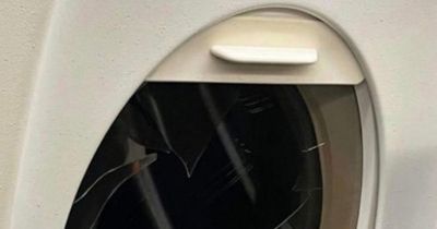 Passengers terrified after plane window smashed during mid-air brawl at 35,000ft