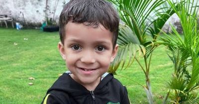 Boy, 3, left blind and unable to walk after being stung by a scorpion