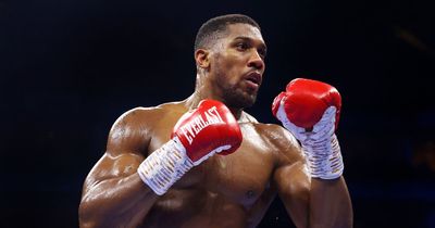 "I'm not a fighter": Anthony Joshua offers honest assessment of his skills