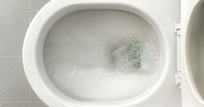 Plumber exposes the shocking cost of flushing common household items down the toilet