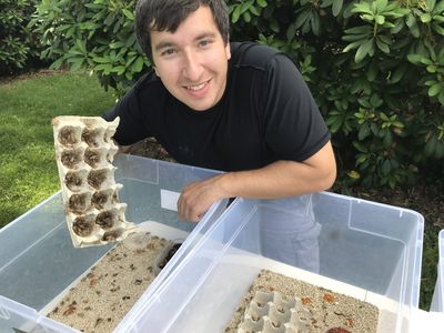 How a millennial dad turned breeding crickets into a $30,000 side hustle