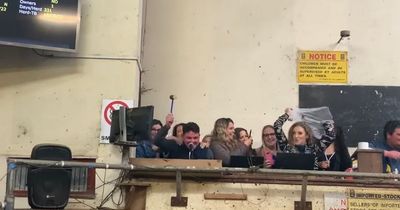 Mart auctioneer attempts to keep focus as hen party causes chaos in Carrigallen mart