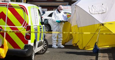 'All those lives ruined...it's so sad': Neighbours' shock as man 'stabbed to death' on quiet cul-de-sac named