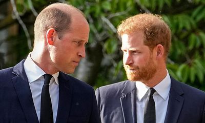 As Prince Harry battles the press, why have the other royals given up the fight?