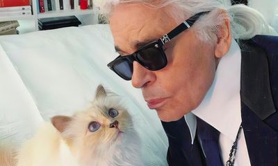 TV tonight: did Karl Lagerfeld really leave his fortune to his pet cat?