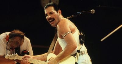 Items from Freddie Mercury's private collection to go on show before being sold