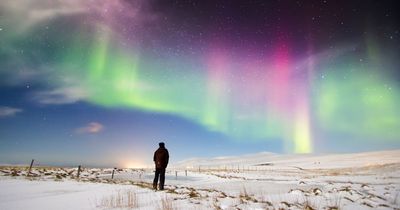 Missing the Northern Lights and pyramids - older Brits’ biggest travel regrets revealed