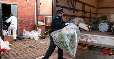 Police onto a winner as massive cannabis farm discovered inside old bookies