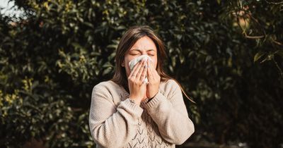 How to pollen-proof your life this hay fever season