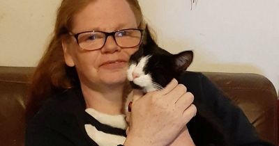 'I go without food to feed my five cats, I'd rather use a food bank than give them up'