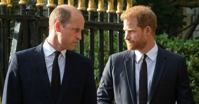 Prince Harry 'ruffles feathers' with William after payout court claim, says royal expert