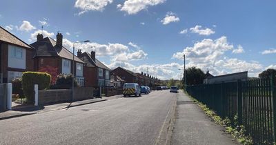 Neighbours 'daunted' over plans for 29 new flats at end of their road