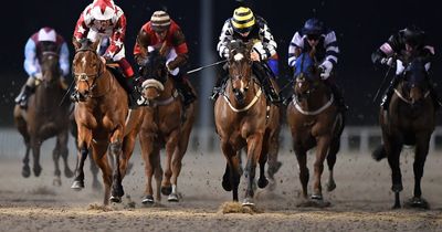 Newsboy’s horse racing tips for Thursday’s meetings, including Nap at Chelmsford