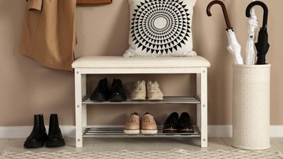 How do you organize shoes in a small space? 8 solutions organizers swear by