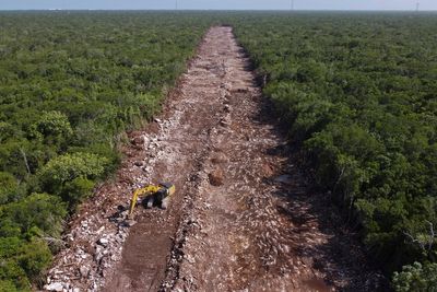 USMCA commission to open environmental probe of Mexico train