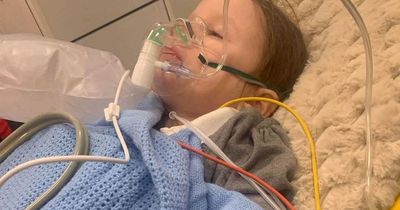 Schoolgirl, 5, called 'drama queen' by teachers after breaking leg while playing