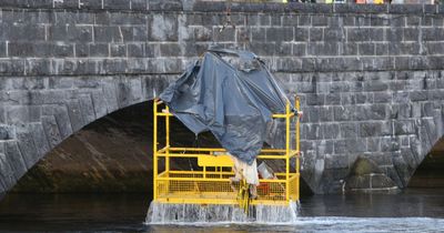 Limerick bridge tragedy inquest hears of valiant efforts to save stonemasons after cage plunged into river