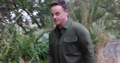 Ant McPartlin confronts I'm A Celebrity 'intruder' on set as ITV crew called in