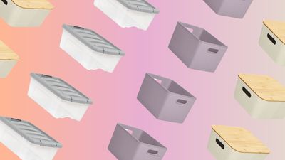 Here's where to buy cheap storage bins (spoiler alert: they're not boring boxes or textile trash)