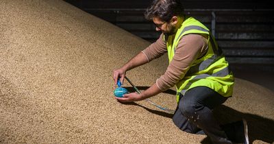 Scots firm's robot that can 'swim' through grain stores could stop crops going to waste