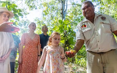 Townsville just the place to let nature ease your mind