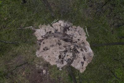 'Military object' found in forest linked to Polish air defence tests - RMF FM