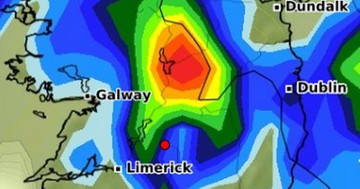 Dublin weather today: Met Eireann forecasts persistent rain with warning for hay fever sufferers