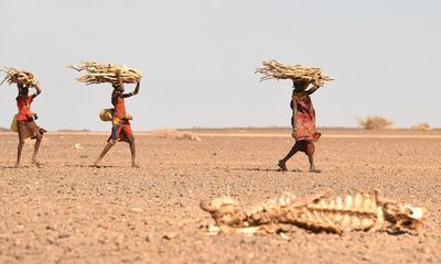 Human-driven climate crisis fuelling Horn of Africa drought – study